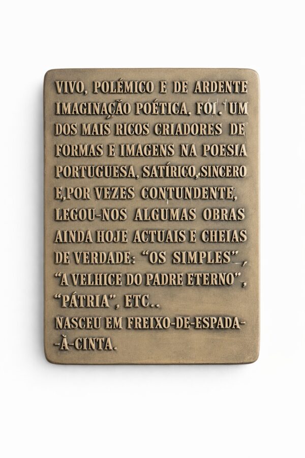 Guerra Junqueiro Bronze Medallion