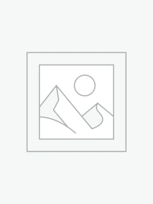 Busto Buda em Resina